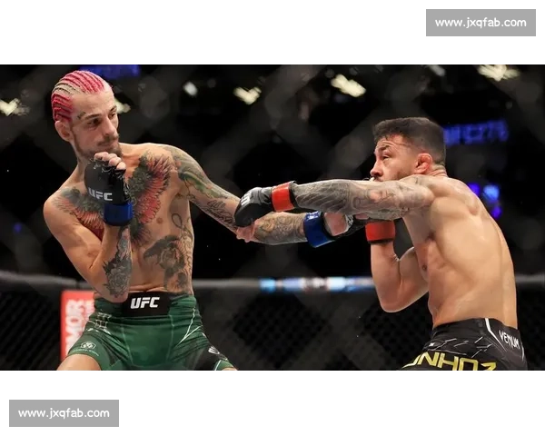 UFC最新比赛完整版回顾：精彩对决、震撼时刻与冠军争夺战一网打尽